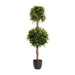 Double Laurel Topiary Tree 1.2M