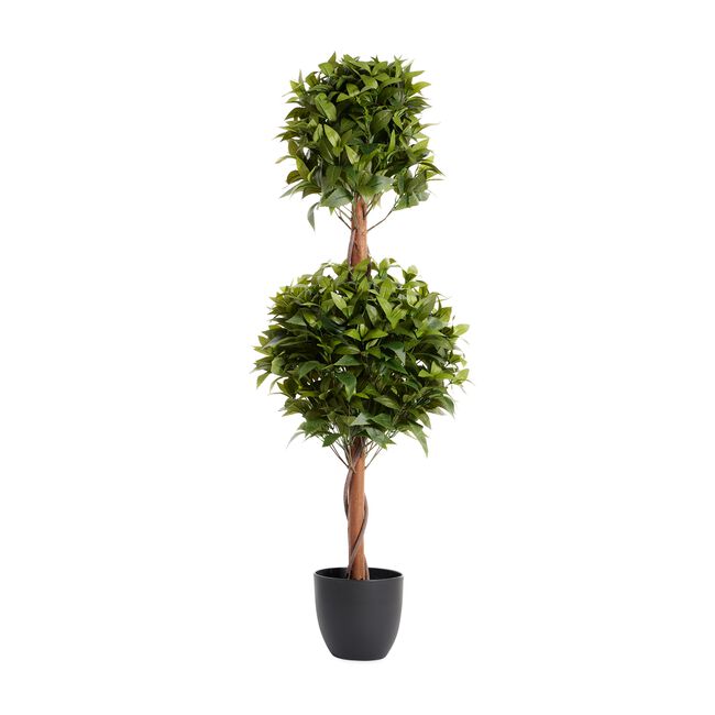 Double Laurel Topiary Tree 1.2M