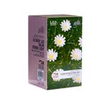 24 LED Daisy Garden Solar String Lights
