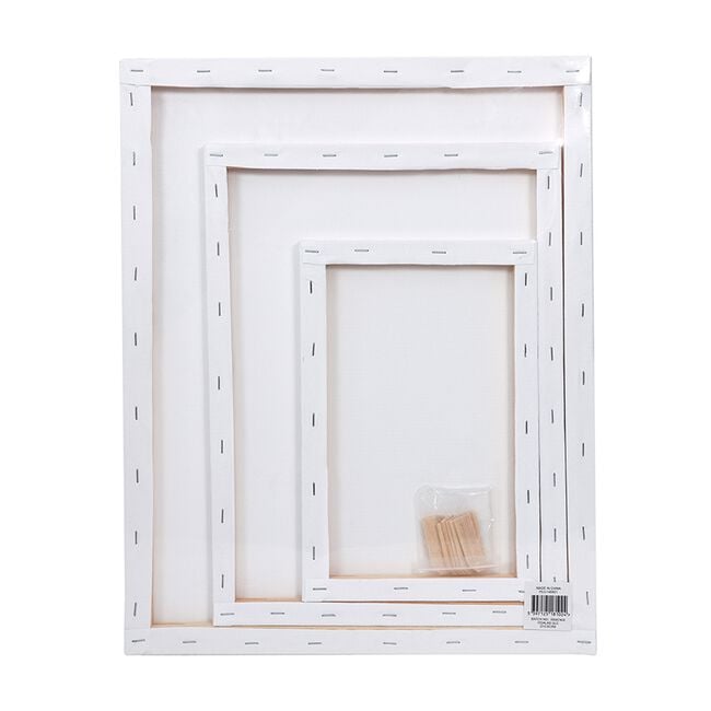 3 Pack Art Canvas 