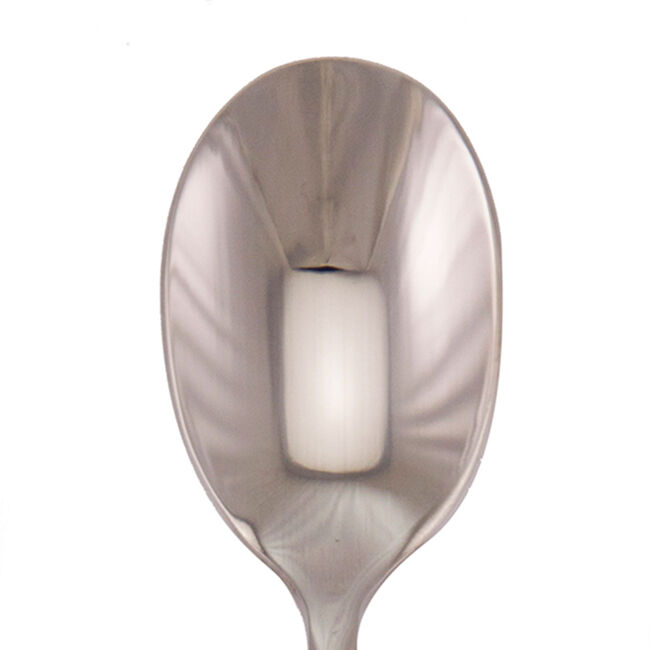 Ritz Dessert Spoon 