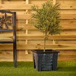 Antique Style Square Plant Pot 26.5cm