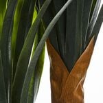 1.5M Artificial Dragon Tree