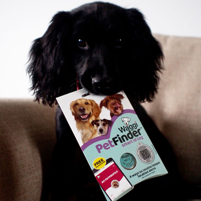 Waggi Pet Finder Smart ID Tag