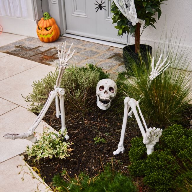 Lifesize Ground Breaking Skeleton