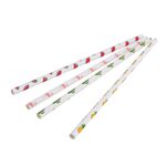 Paper Straws 16 Pack