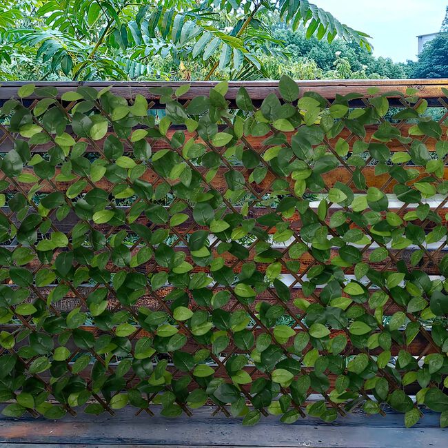 Rose Leaf Willow Trellis 2M X 1M