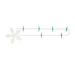 Drainwig Shower Hair Catcher 2 Pack