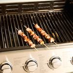 100 BBQ Skewers Pack