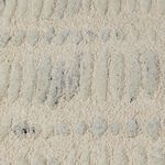 BALTIMORE OFF WHITE 80x150cm Rug