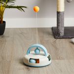 Cat Multi Entertainment Toy