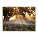 Bluebells And Sunlight Canvas 60cm x 80cm
