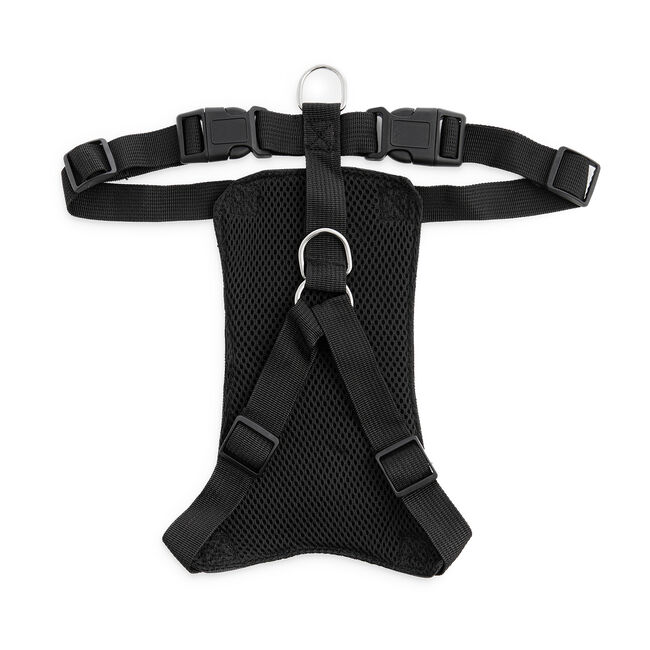 Car Dog Harness