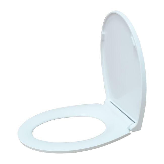 Abstract Carved Slow Closing Toilet Seat