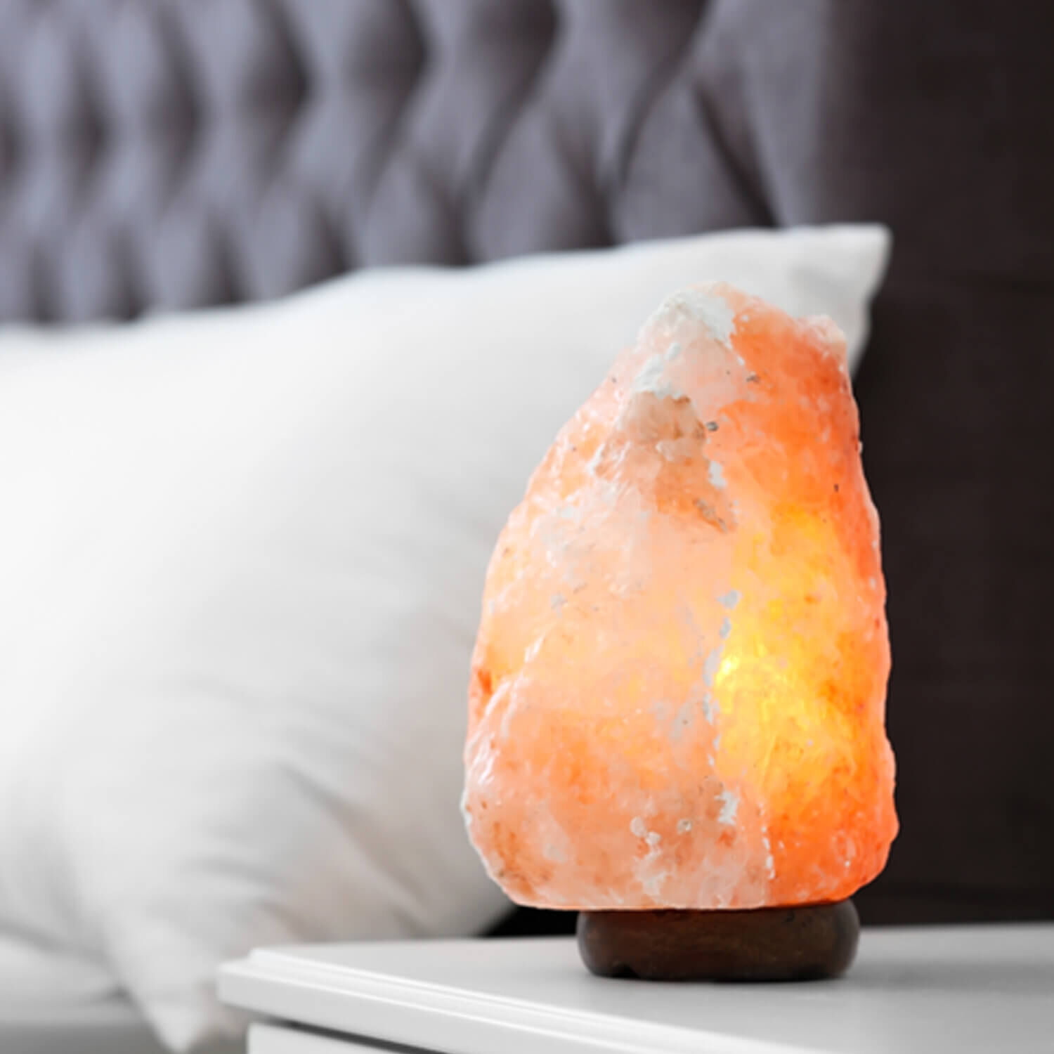 Are Himalayan Salt Lamps Safe Around Dogs