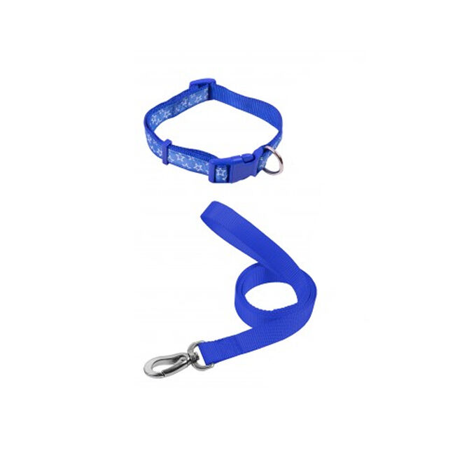 Smart Choice Dog Lead & Collar Set
