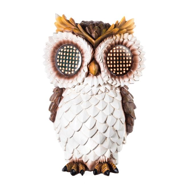 Solar Owl with Moving Eyes