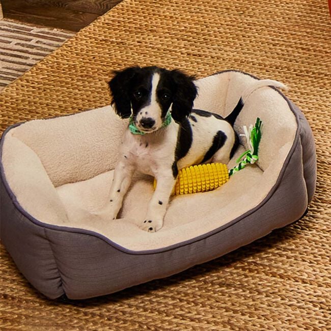 MITZY Pet Bed Medium
