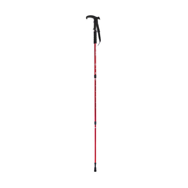 Adjustable Walking Stick