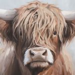 Highland Cow Canvas