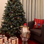 2000 LED White Cluster Lights