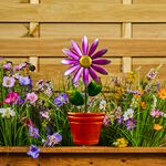 Spinning Flower Plant Pot Decoration