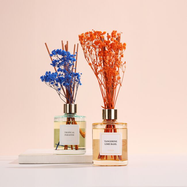 Parfumer Spring Fantasy Tangerine Lime Diffuser