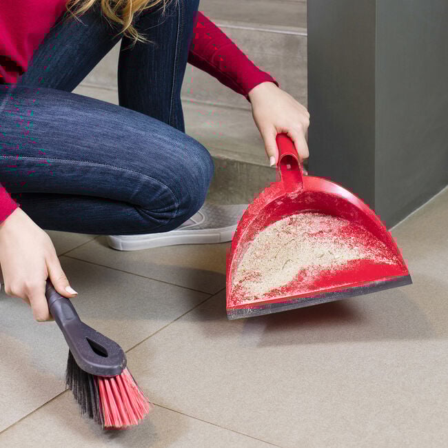 Vileda Dustpan & Brush Set