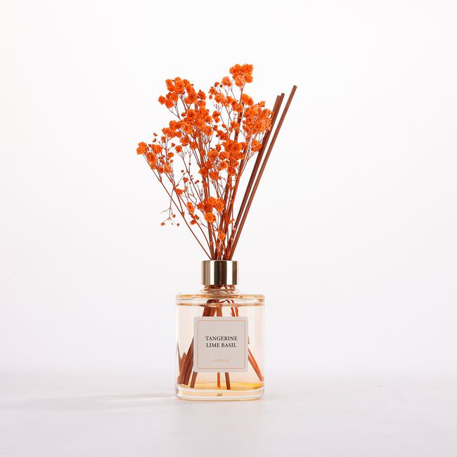 Parfumer Spring Fantasy Tangerine Lime Diffuser