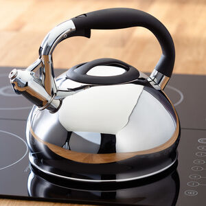Judge Stove Top Whistling Kettle 3L