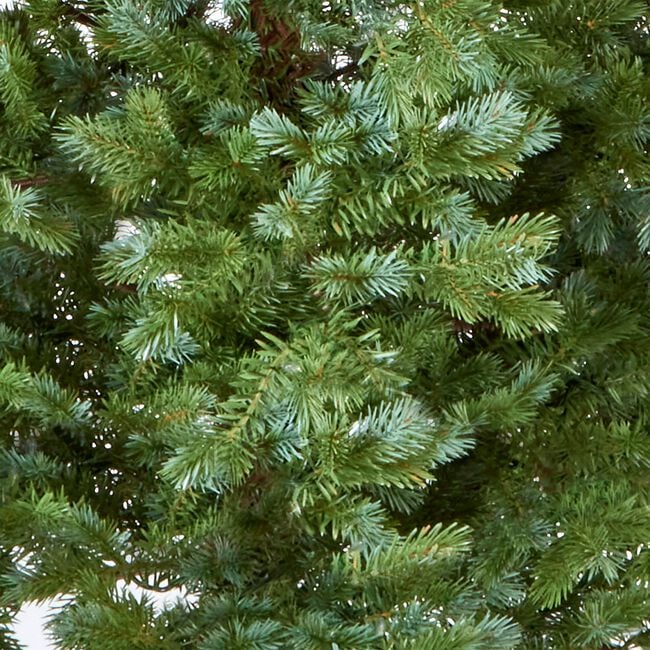 National Tree Fairview Fir 7ft Christmas Tree