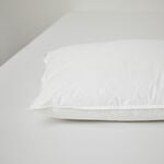 Luxurious Hotel Pillow