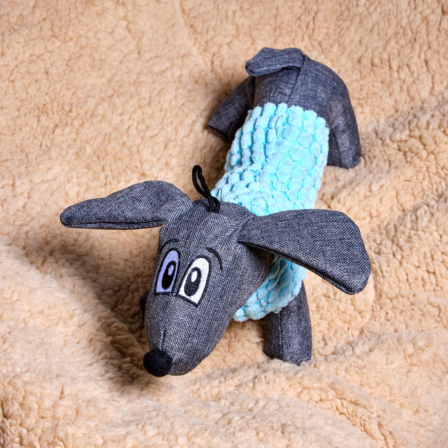 Smart Choice Plush Dog Toy - Assorted