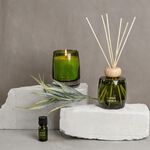 Ambianti Jewel Herbal Garden 200ml Reed Diffuser