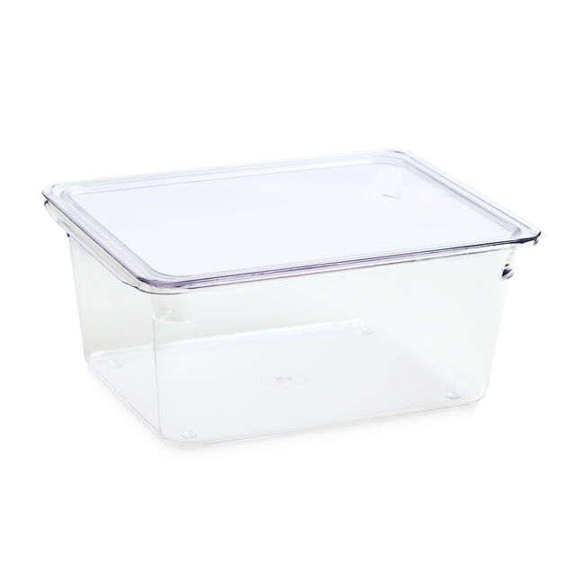 Fridge & Freezer Storage Bin with Lid
