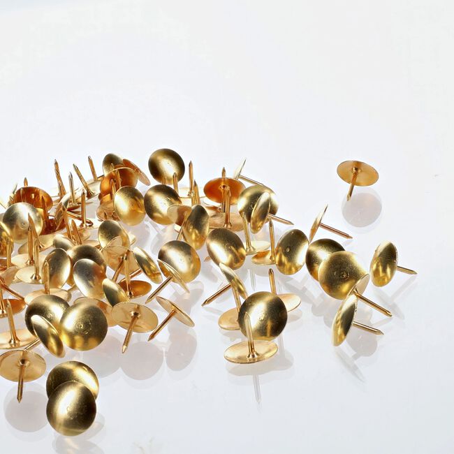 Concept 100Pk Brass Push Pins