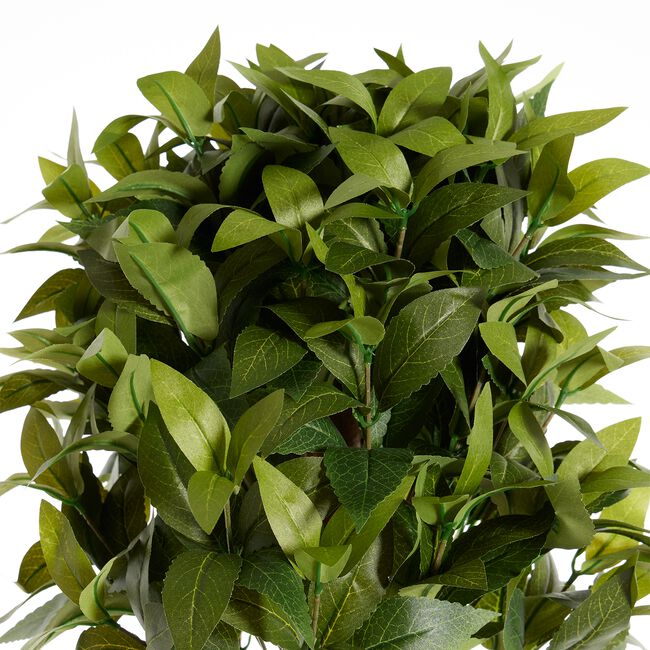 Double Laurel Topiary Tree 1.2M
