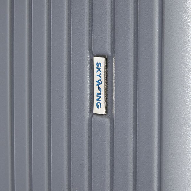 Large Lightweight Hardshell Luggage - Silver Grey