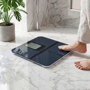 Camry BMI Large Display Bathroom Scales