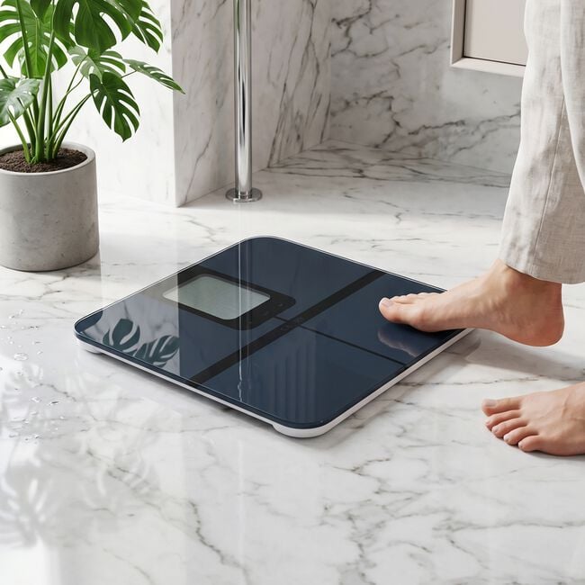 Camry BMI Large Display Bathroom Scales