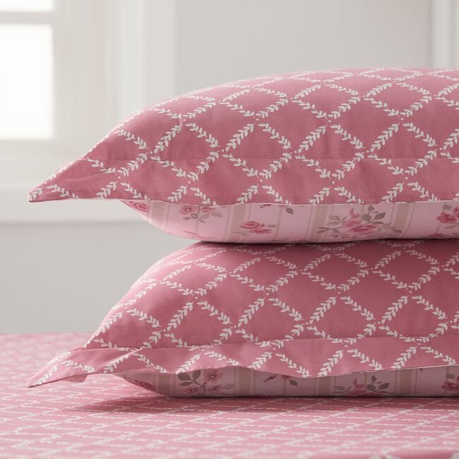 Lilyrose Oxford Pillowcase Pair - Blush