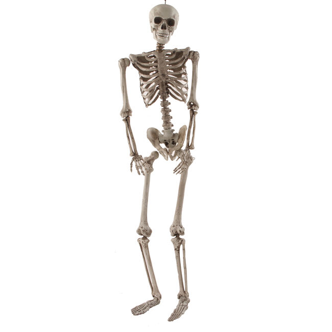 Hanging Skeleton 