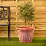 Terracotta Round Plant Pot