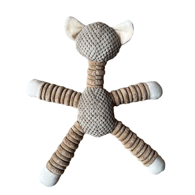 Bear Plush Tug Dog Toy
