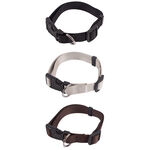 Smart Choice Dog Collar - Medium