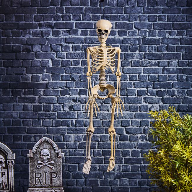Hanging Realistic Skeleton 90cm
