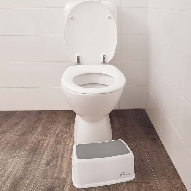 Dreambaby® Toddlers & Me Step Stool