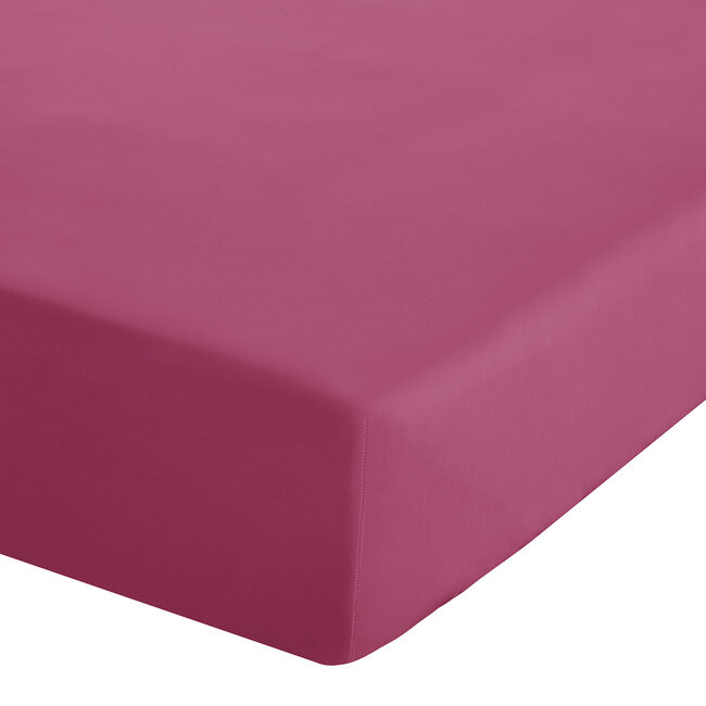 DOUBLE FITTED SHEET Luxury Percale Hot Pink