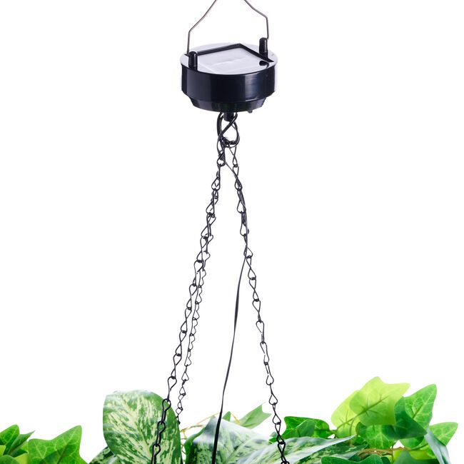 Green Leaf Solar Hanging Basket