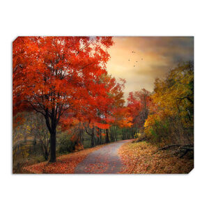 Autumn Road Canvas 60 x 80cm